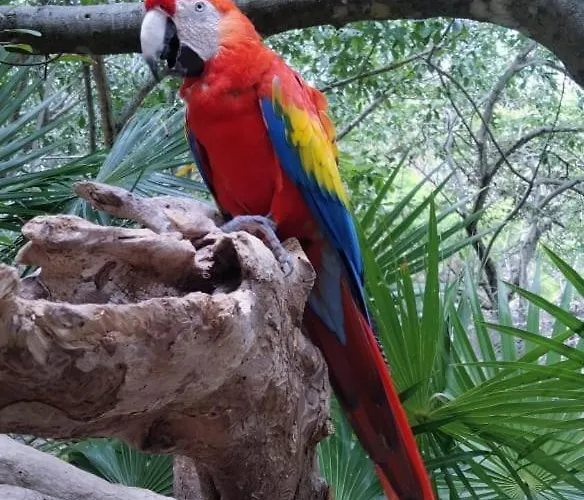 Lyj Hab 21 Playa del Carmen